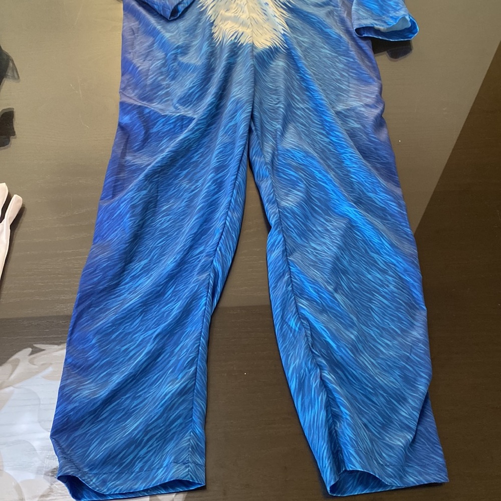 Sonic The Hedgehog Costume/Dress Up - Picture 8 of 12